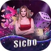 slots casino လုံခြုံသော ငွေသွင်းစနစ် SSL လုံခြုံရေး